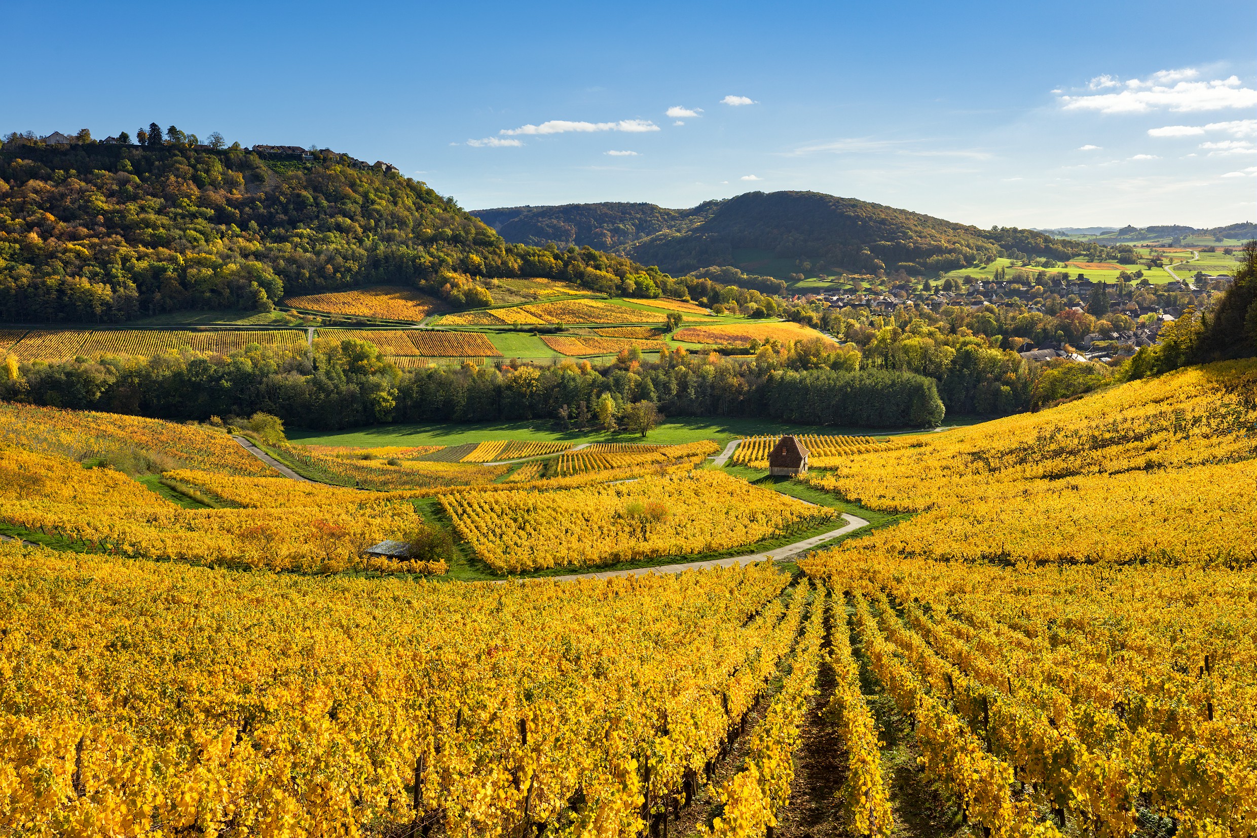 Savourez le vignoble du Jura cet automne